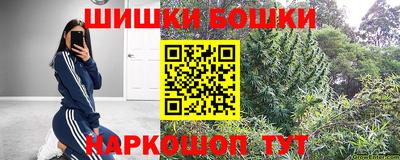 прущие грибы Бийск