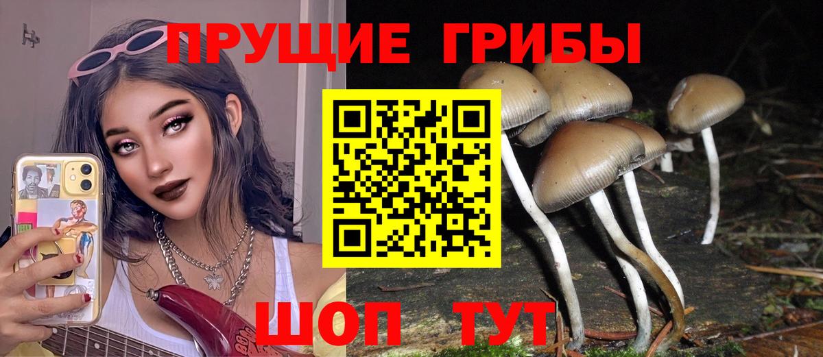 Меф МЯУ МЯУ кристаллы  Альфа ПВП СК кристаллы  ЭКСТАЗИ  Зерноград  ТГК  Продажа наркотиков  Канабис  Вход с VPN  Гашиш  ГАШИШ  Кокаин 