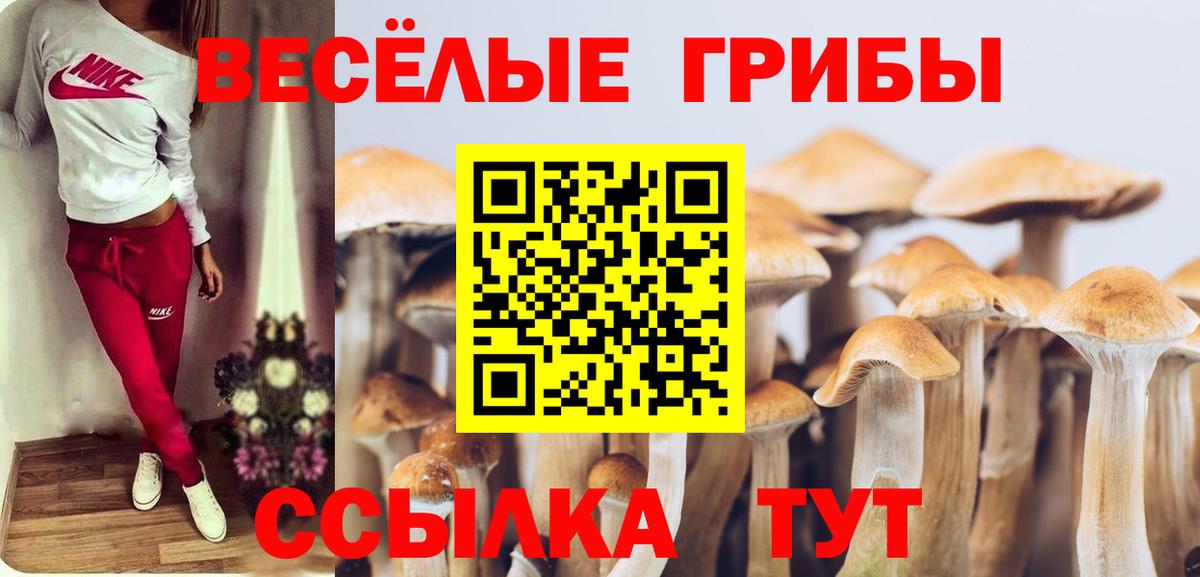 Зерноград  Псилоцибиновые грибы Magic Shrooms  Псилоцибиновые грибы ЛСД  Вход с VPN 