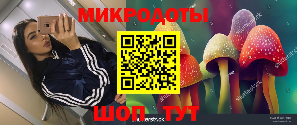 Галлюциногенные грибы прущие грибы Зерноград
